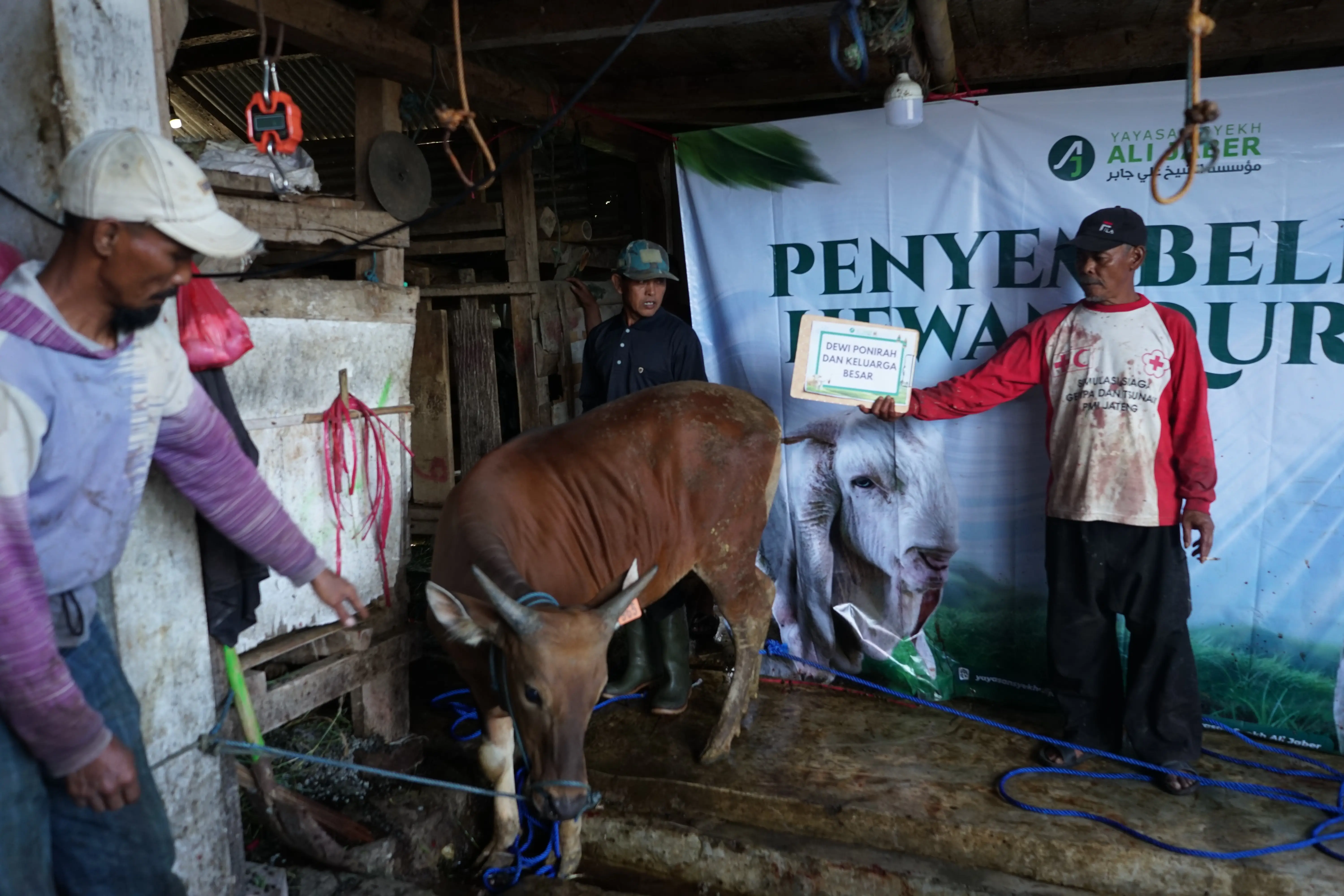 Laporan Sukses Gema Qurban 2026 Yayasan Syekh Ali Jaber: Tebar Manfaat untuk 2.748 Umat